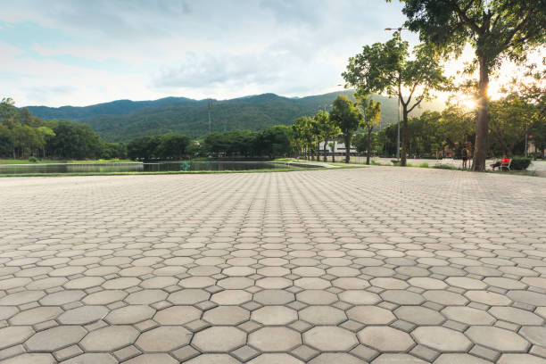 Best Residential Driveway Paver Services  in Farmingville, NY